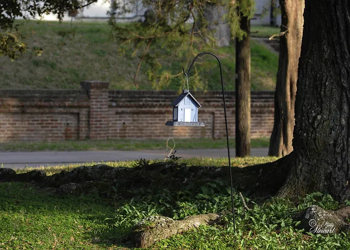 Clermont Bluffs Bed & Breakfast Natchez